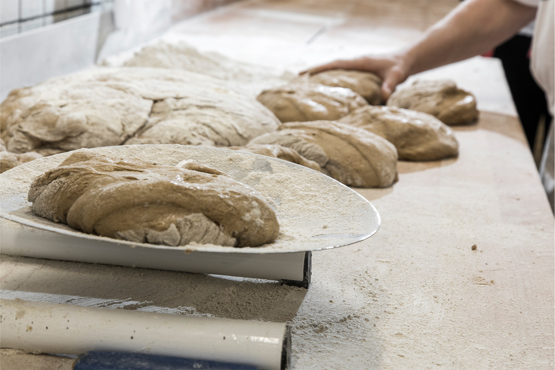 Bäckerei und Konditorei Dams